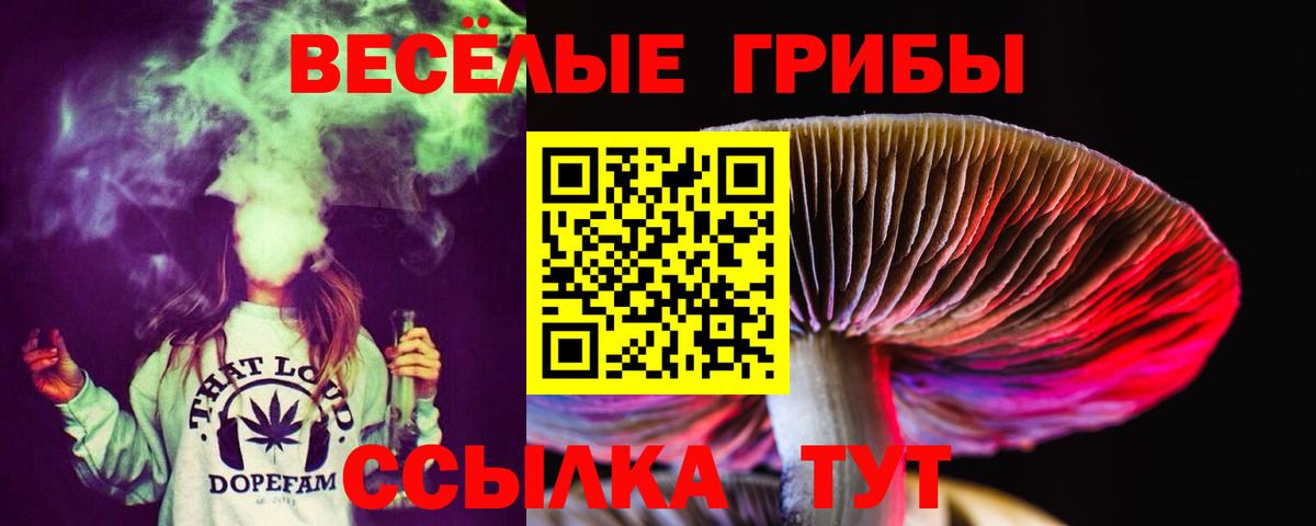 Псилоцибиновые грибы мицелий Полысаево